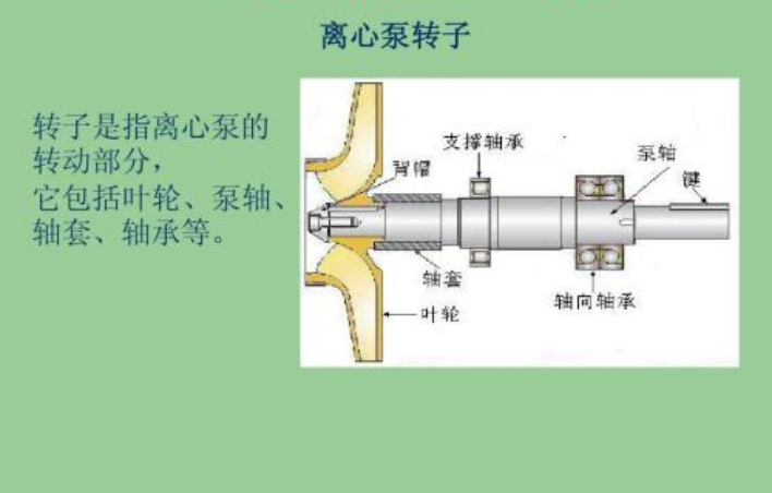 離心泵轉(zhuǎn)子