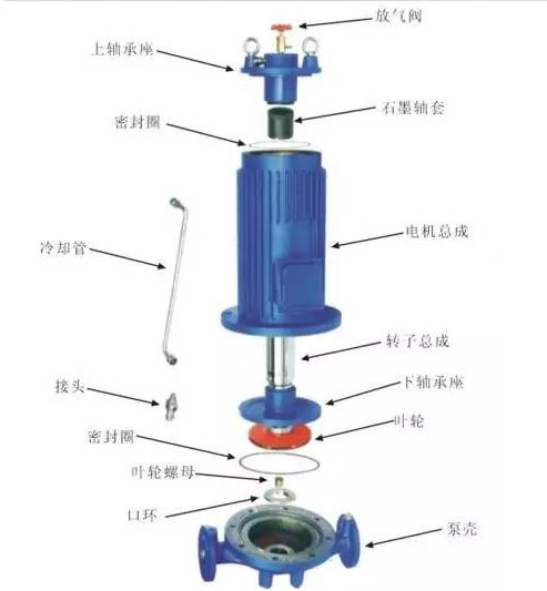 屏蔽泵的結(jié)構(gòu)圖